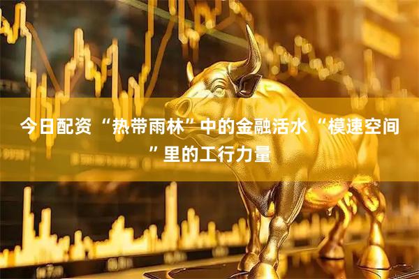 今日配资 “热带雨林”中的金融活水 “模速空间”里的工行力量