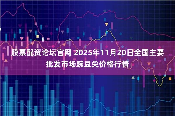 股票配资论坛官网 2025年11月20日全国主要批发市场豌豆尖价格行情